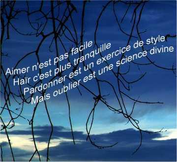 Aimer?????