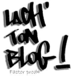 Ben l&acirc;che ton blog vite fais