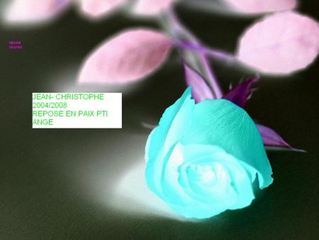 1 ange s'en est all&eacute;
